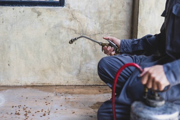 Best Residential Pest Control  in Ralston, NE
